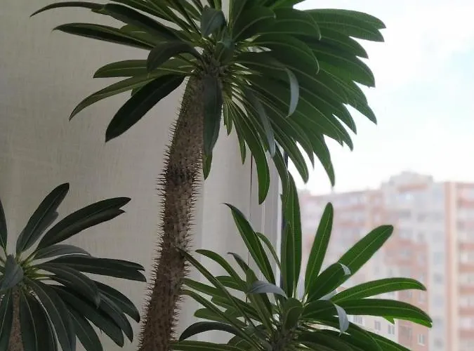 в жилом комплексе левитана,массив радужный Apartman Odessza